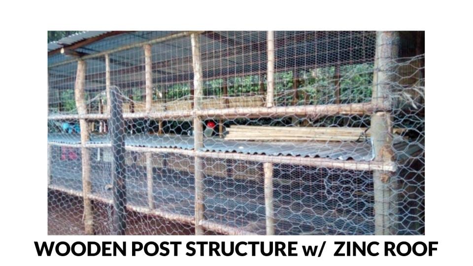 Wooden Post Structure Poultry house Photo