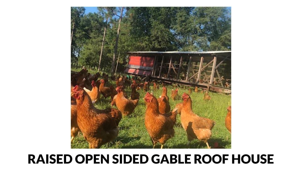 Open sided gable roof poultry house with tree windbreak