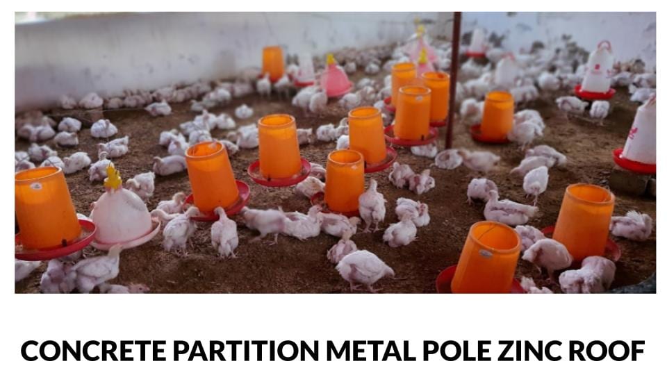 Concrete partitioned metal pole and zinc roof poultry house 