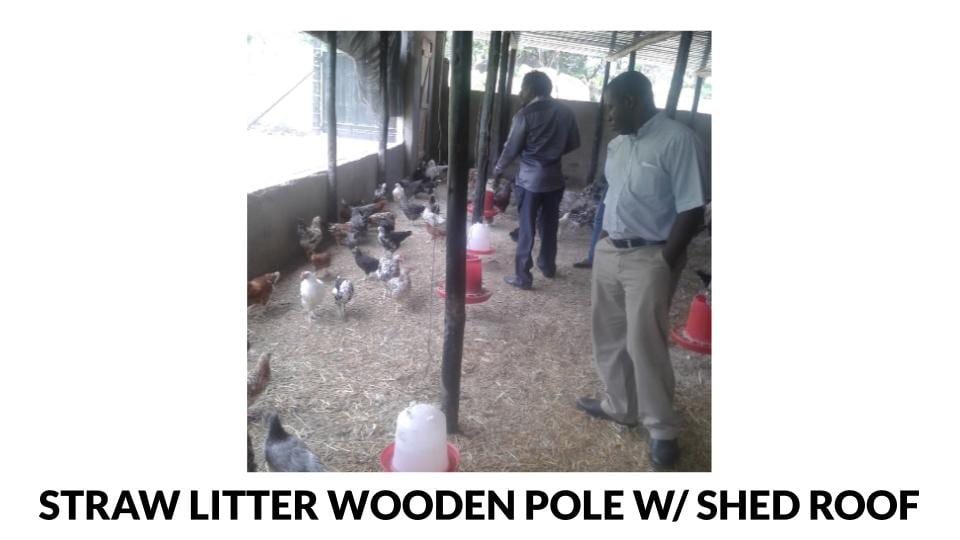 Straw Litter Wooden Pole Shed Style Roof Poultry House Photo