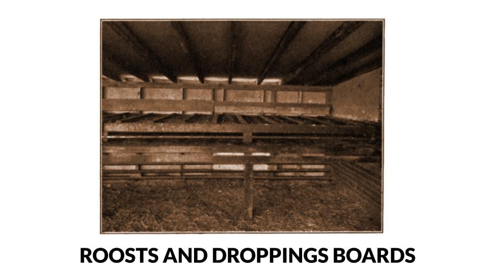 Roosts And Droppings Boards Photo