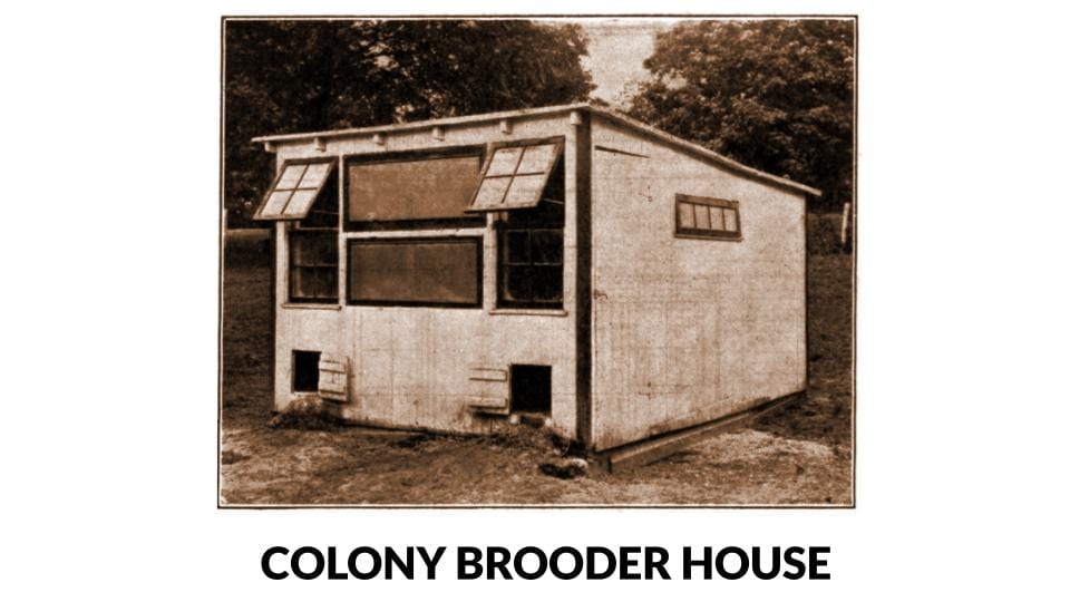 Colony Brooder House Photo