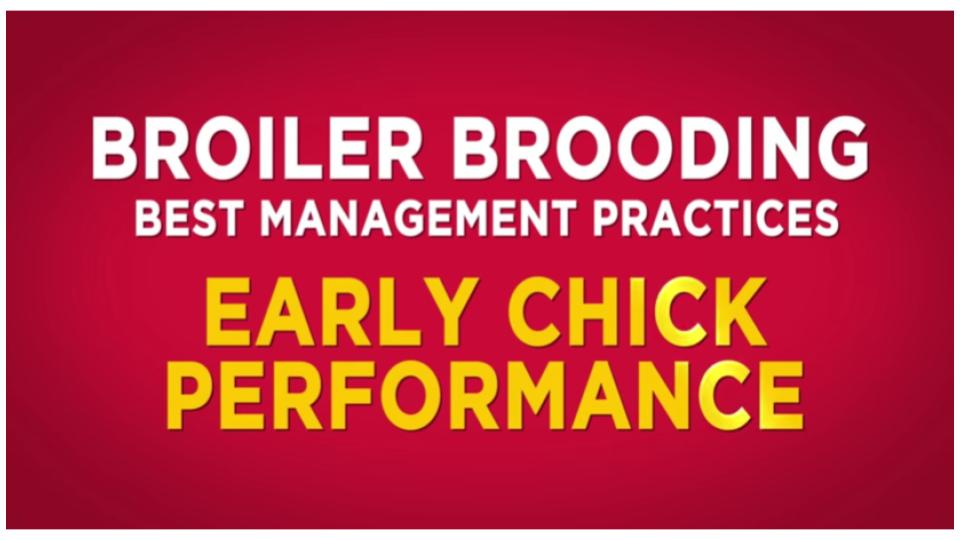 Broiler Brooder Best Management Practices Title Screen