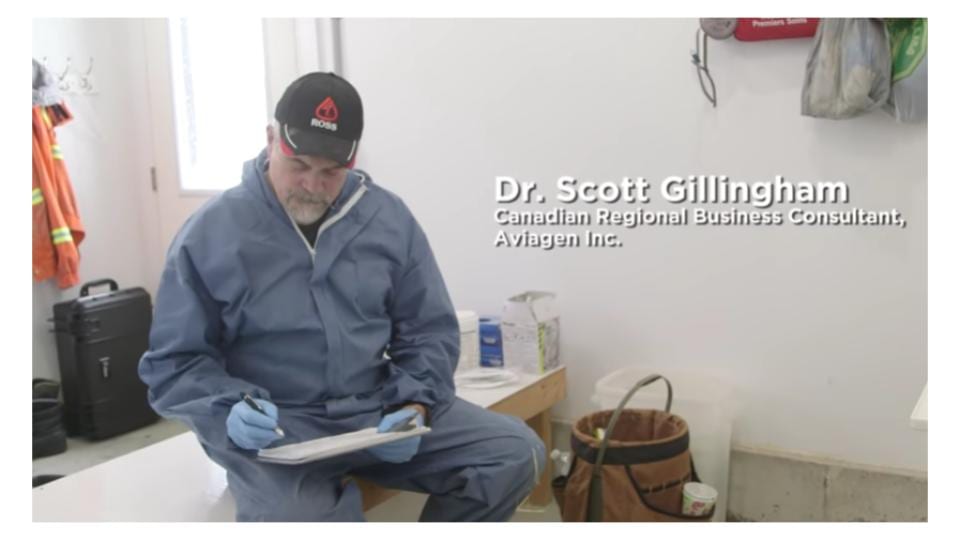 Dr. Scott Gillingham, Canadian Regional Business Consultant, Aviagen