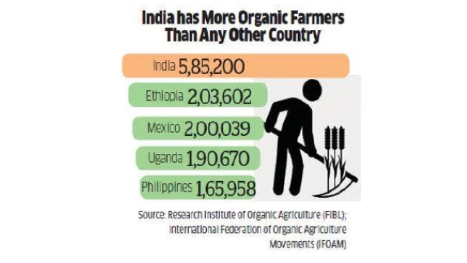 India Organic Farmers By Number