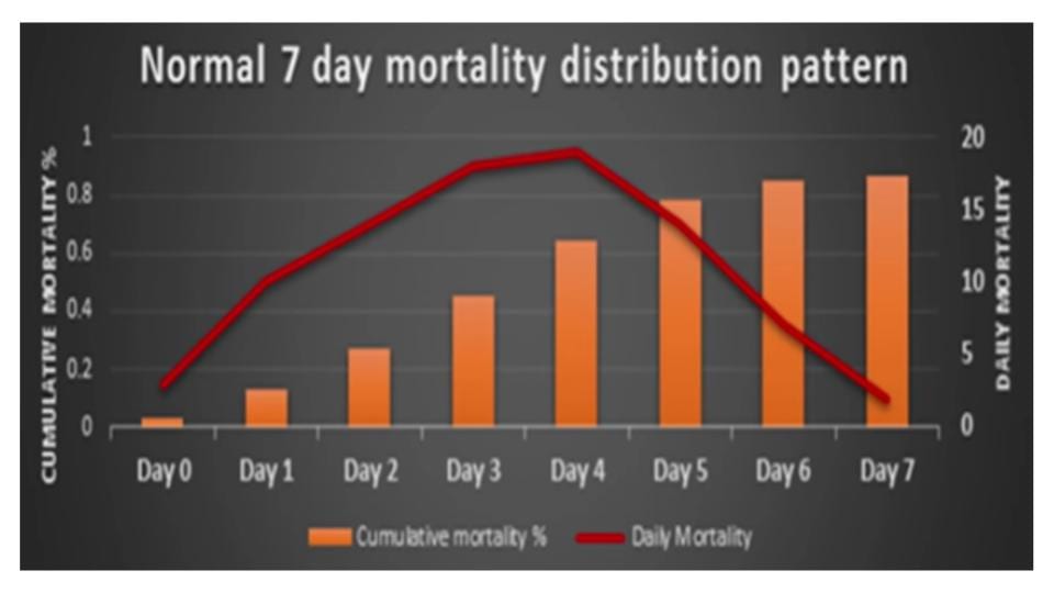 Normal 7 day chick mortality distribution pattern