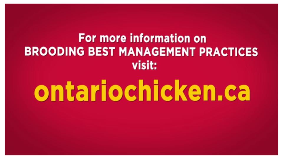 Ontario Chicken Canada