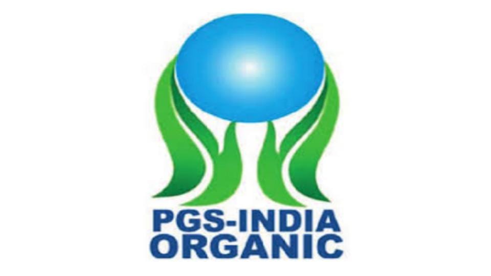 PGS India Logo
