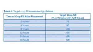 Broiler Brooding Best Management Practices