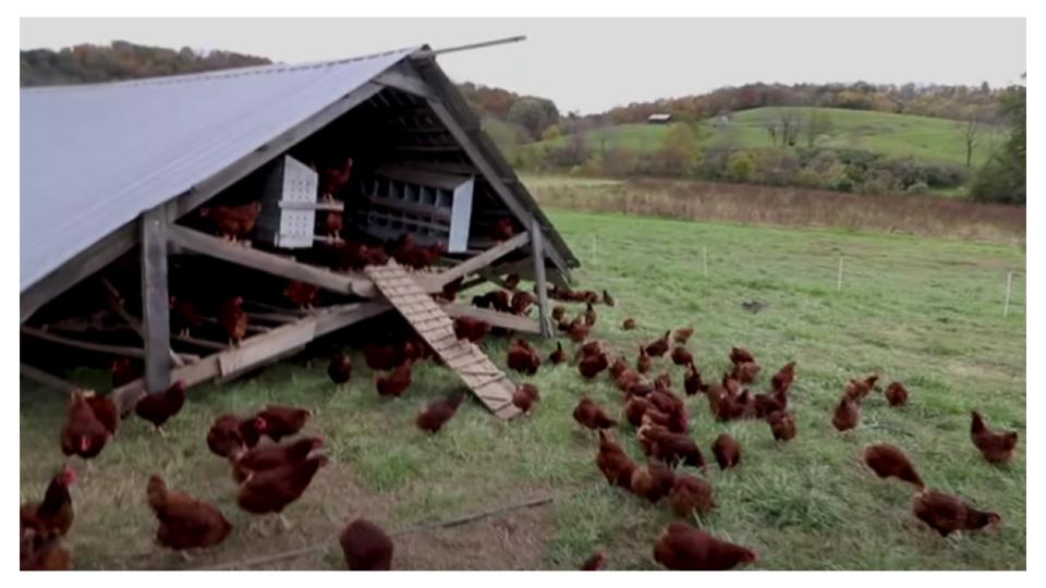 Mobile Chicken Tractor Structure