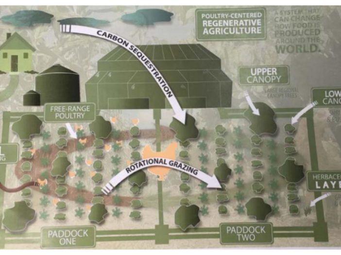 Regenerative Poultry Farming Inforgraphic