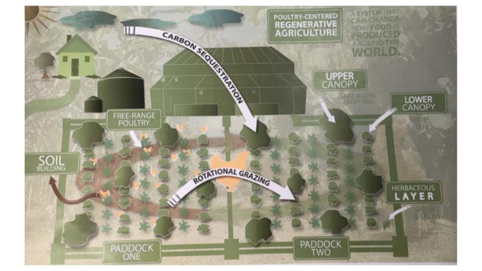 Regenerative Poultry Farming Inforgraphic