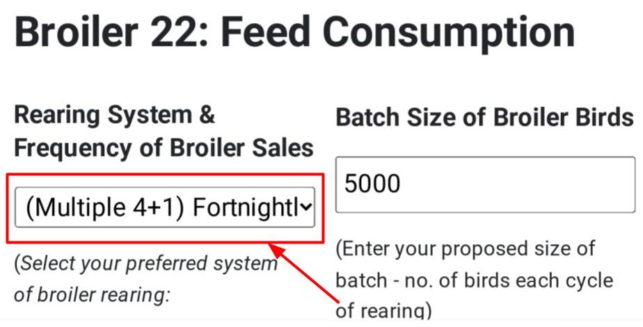 Broiler Feed Consumption by Rearing Model