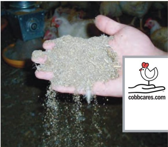 How To Calculate The Amount Of Deep Litter Material You Need