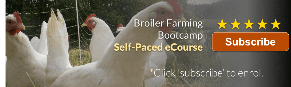 Broiler Farming Bootcamp