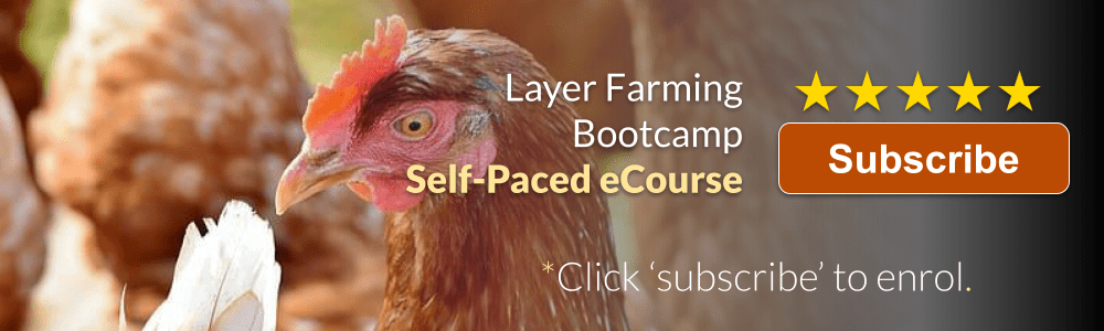 Layer Farming Bootcamp
