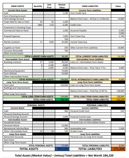 Poultry farm balance sheet calculating net worth