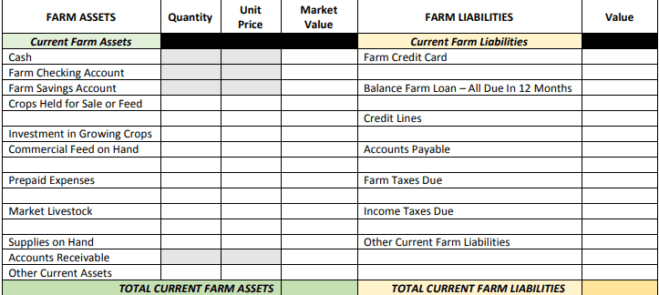 Farm current assets and liabilities template