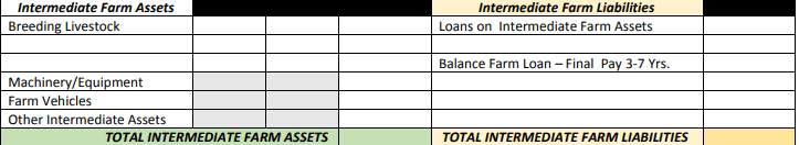 Farm intermediate assets and liabilities template