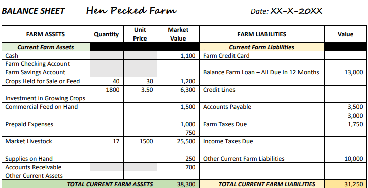 Example current farm assets and liabilities