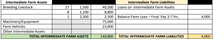 Example intermediate farm assets and liabilities