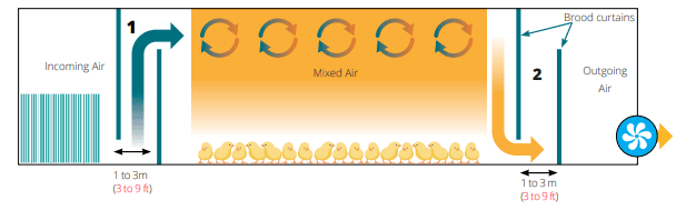 thermodynamics of partial house brooding with negative pressure ventilation system